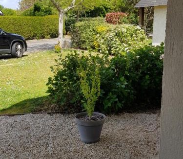 Carnac House | Oceanfront Escape at Gîte Mon Plaisir - Rated 9.5/10