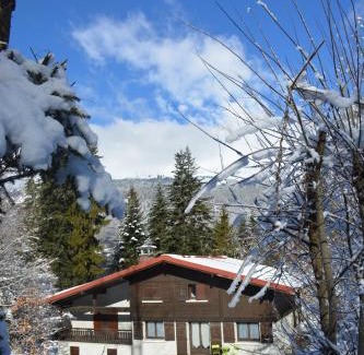 Les Houches Apartment | Welcoming Gîte Montvauthier: Pet & Child Friendly Retreat