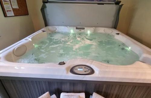 Ventron Apartment | Relax at Gîte Myosotis: Spa, Games & Pet-Friendly Retreat