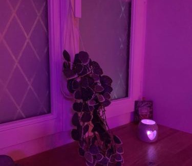 Brain-sur-Longuenee Apartment | Indulge in Relaxation at Gîte Romantique La Parenthèse