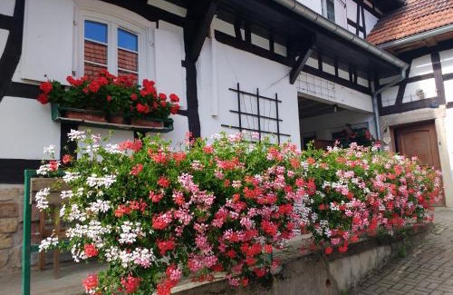 Hunspach Apartment | Discover GÎte rue de l'Ange: Pet-Friendly Retreat with Dining