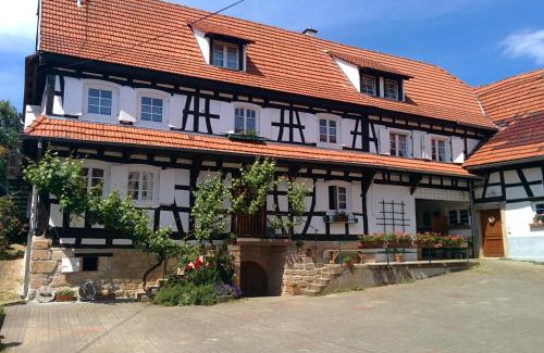 Hunspach Apartment | Discover GÎte rue de l'Ange: Pet-Friendly Retreat with Dining