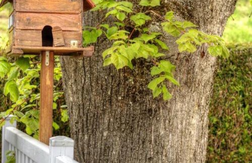 Cherier House | Family-Friendly Gîte with Garden Near Livradois Forez Park