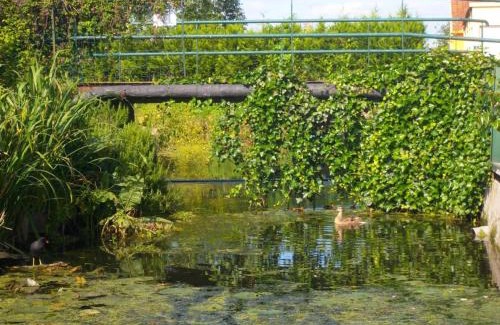 Saint-Omer House | Gîte Saint-Omer: Family-Friendly Retreat with High Ratings