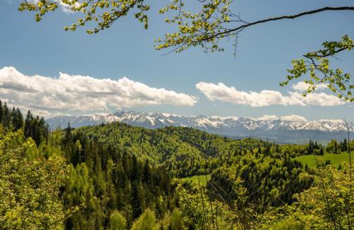 Ochotnica Dolna Apartment | Experience Górna Chata Chalet: Top-Rated with Ocean Views