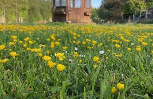 Kall House | Relax in Nature at Sötenicher Mühle - Top Rated 9.4/10