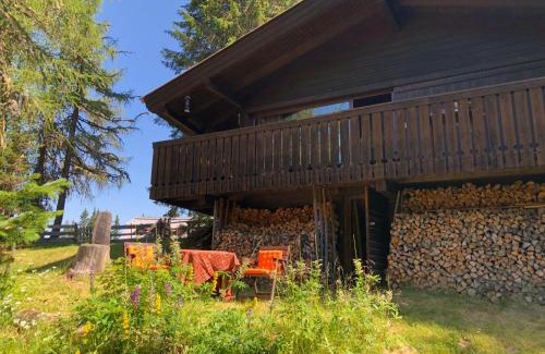 Arriach House | Cozy Retreat at Günther's Almhüttn - Child Friendly Getaway