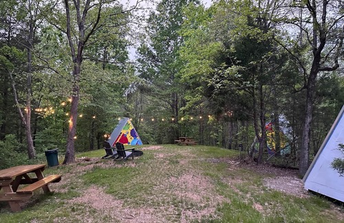 Talladega Cabin | Explore G-2 Glamp in Bohamia - A 268 Acre Forest Escape