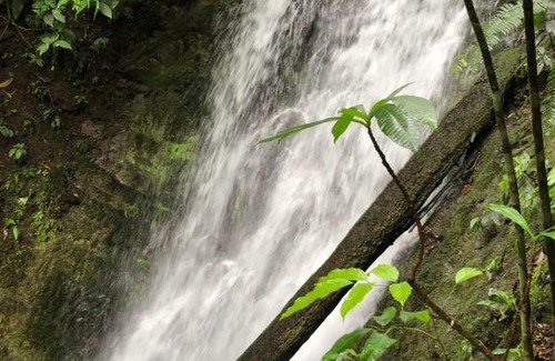 Surubres House | Discover G.Nature Preserve: Family and Pet-Friendly Retreat