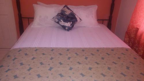 Falmouth House | Welcoming G&R Guesthouse with Kitchen & Breakfast Options