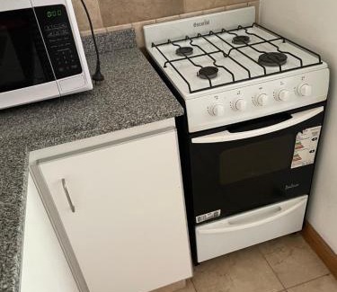 General Roca Apartment | Pet-Friendly Gadano Suites: Guest Rated 9/10 for Families