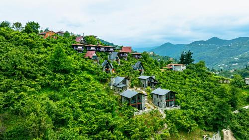 Arakli Apartment | Discover GAFULLUK BUNGALOV: Family-Friendly Retreat