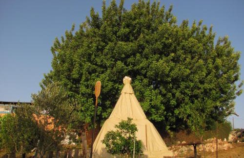 Tabash Cabin | Explore Galilee Bedouin Camplodge - Family-Friendly Escape