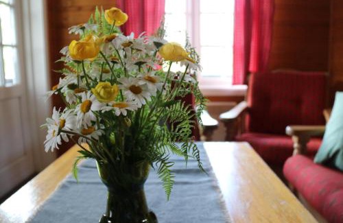 Etnedal Cabin | Discover Gamlestølen Fjellstue: Pet-Friendly Mountain Retreat