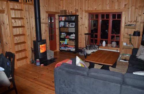 Vinje Apartment | Gamlestøyl 30D, Haukeli Vågslid