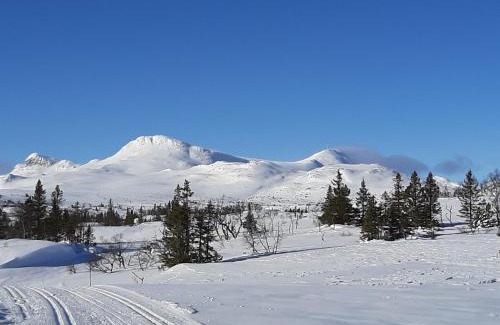 Tuddal House | Discover Gamlestugu Greivjord Fjellgard - Pet & Child Friendly