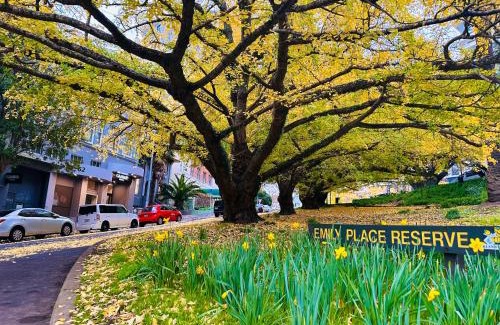 Auckland Central Business District Hotel | Budget-Friendly Gamma Hotel with Breakfast and Kitchen Access