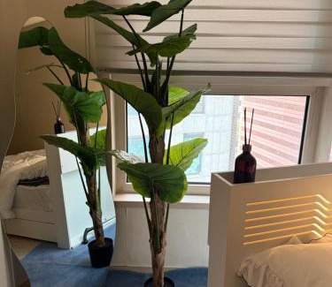 Seocho-dong Apartment | gangnam sinnonhyeon 2518