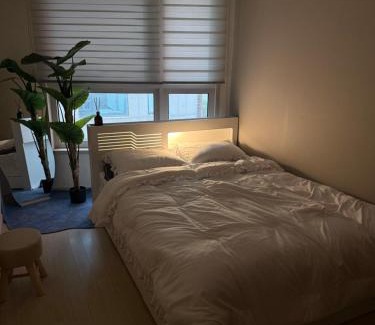 Seocho-dong Apartment | gangnam sinnonhyeon 2518