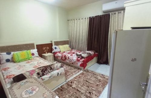 Aswan Hotel | Gannet Alyousef hotel