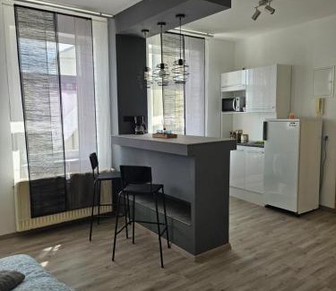 Hohenstein-Ernstthal Apartment | Ganze Ferienwohnung - Apartment to rent
