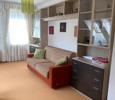 Karlovy Vary Villa | Garden home with pool access