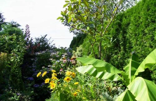 Courtenay House | Garden House: Oceanfront Stay with 9.5/10 Guest Rating