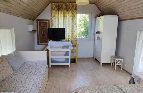 Ciorogarla Villa | Garden House