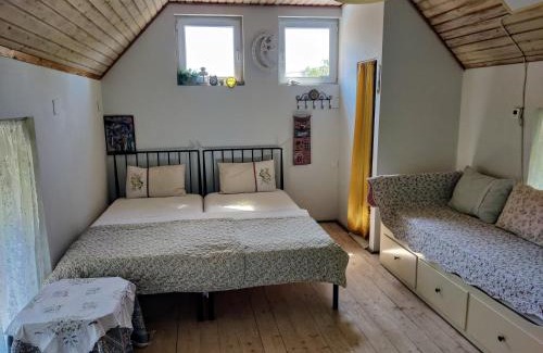 Ciorogarla Villa | Garden House