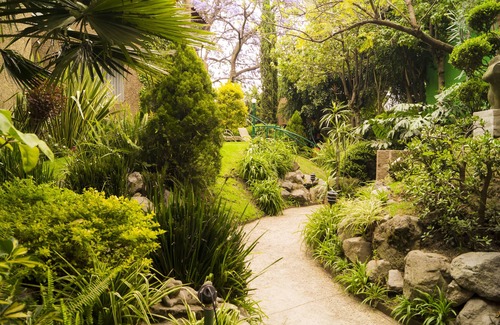 Coyoacan Apartment | Discover Garden House in Vibrant San Angel Neighborhood