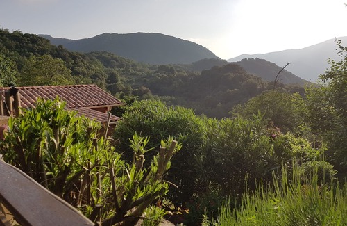 Zicavo House | Relax by the Pool at Garden in the Taravo Valley