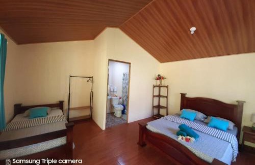Drake Bay Hotel | Serene Garden of Heliconias Lodge with Oceanfront Views