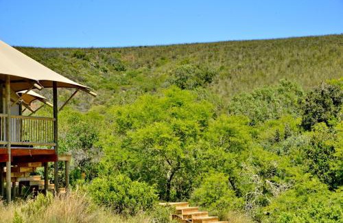 Brandwag Hotel | Discover Garden Route Safari Camp: Guest Rated 9.7/10
