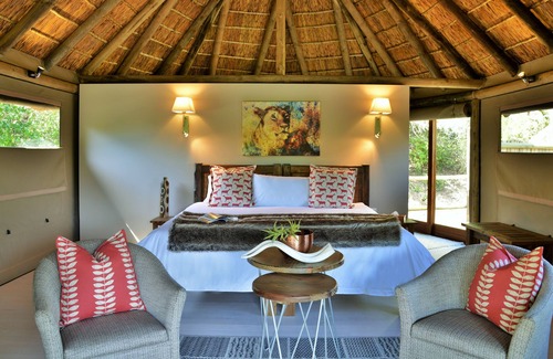 Brandwag Other | Experience Garden Route Safari Camp: Top-Rated Family Retreat
