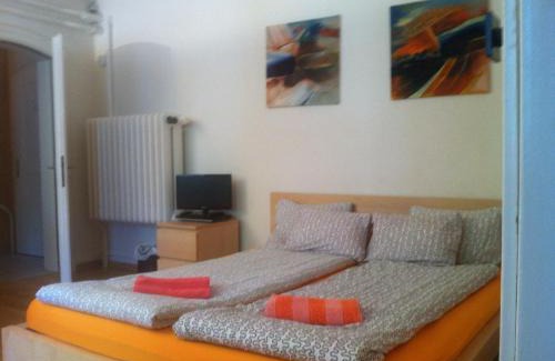 Fluntern Apartment | Charming Garden Studio Apartment in Zürichberg, Family-Friendly