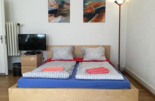 Fluntern Apartment | Charming Garden Studio Apartment in Zürichberg, Family-Friendly