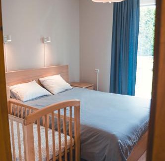 Cesis Apartment | Garden View Apartment