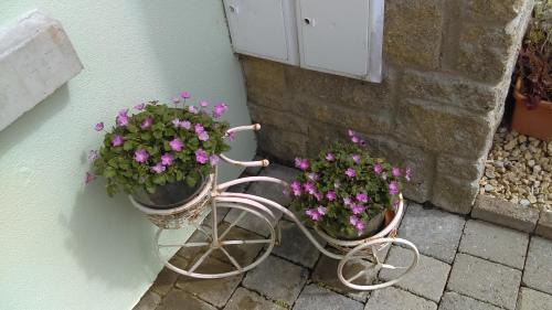 Mohill House | Beautiful Garden View Self Catering at Lough Rynn