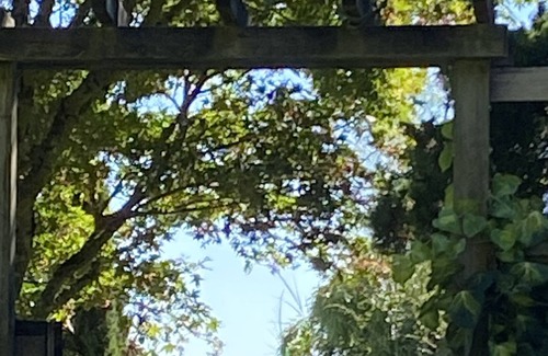Cobble Hill House | Gardeners, Bikers, Walking ,Wine Tasting Paradise in East Cobble Hill