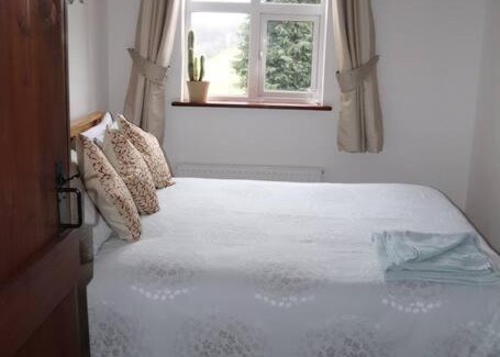 Newtown Apartment | Experience Garn Lodge: Guest Rated 9.8 for Unforgettable Stays