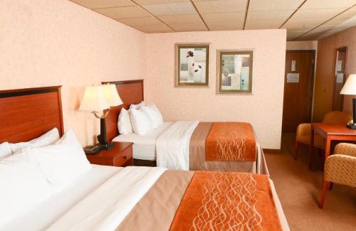 Butte Hotel | Pet-Friendly Comfort Inn Butte City Center with Pool Access