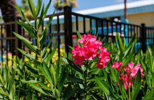Orlando Hotel | Convenient Garnet Inn & Suites in Orlando with Pool Access
