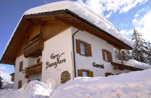 Ruffre Hotel | Pet-Friendly Garni Biancaneve with Ocean View & Dining