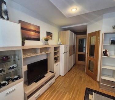 Senica Apartment | Garsónka s klímou v Senici