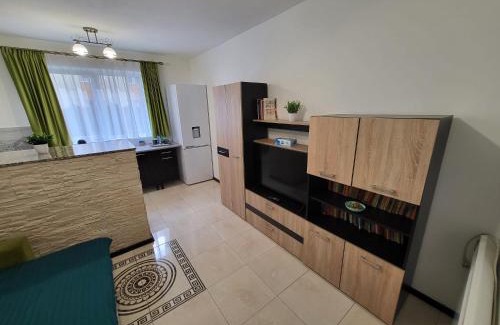 Sibiu Apartment | Cozy Garsoner Green Home: Pet-Friendly & Family Ready