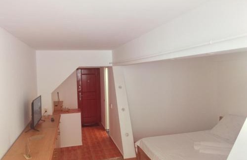 Tirgu Jiu Apartment | Garsonieră central Tg Jiu