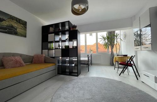 Petrosani Apartment | Top-Rated Apartments in Romania - Child Friendly & Inviting