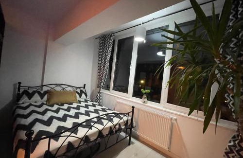 Petrosani Apartment | Top-Rated Apartments in Romania - Child Friendly & Inviting