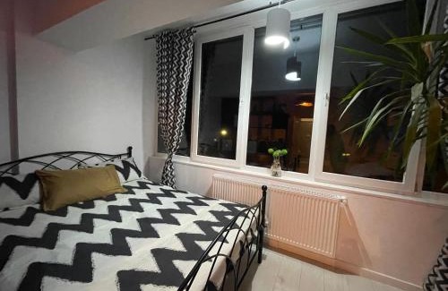 Petrosani Apartment | Top-Rated Apartments in Romania - Child Friendly & Inviting