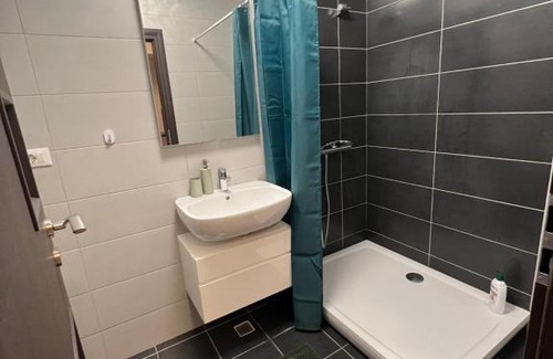 Ramnicu Valcea Apartment | Pet-Friendly Garsoniera Brother’s with Top Guest Rating